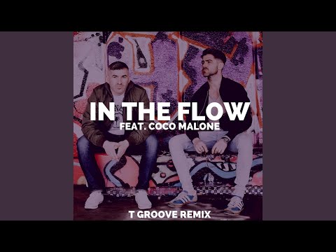 In the Flow (T-Groove Remix)