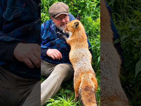 Animals Who Fell in Love With Dad 🥺❤️