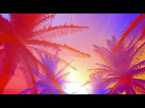 Nathan Walid - how do you feel (Lyric Video)