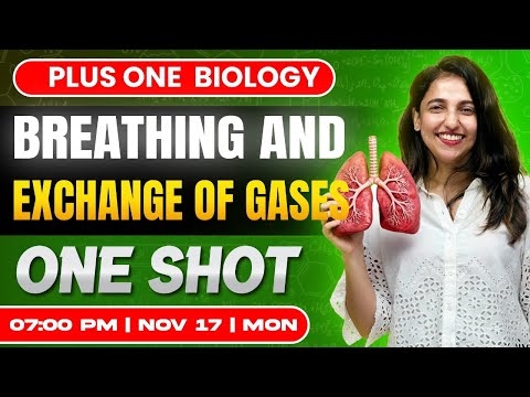 Plus One Biology | Breathing And Exchange Of Gases  | Oneshot | Exam Winner