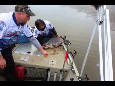 30lb and 56lb blue cat double on the James River.