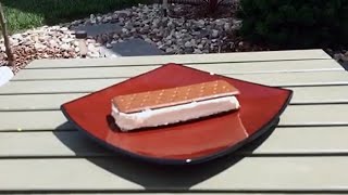 Walmart Ice Cream Sandwich Won't Melt! We Prove It.