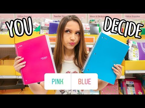 My Instagram Followers Control My Back To School Supplies Shopping!