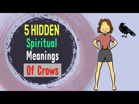 Do you Often See Crows? 5 Hidden Spiritual Meanings Of Crows