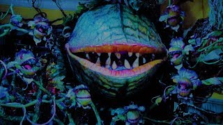 Little Shop of Horrors  - Mean Green Mother From Outer Space