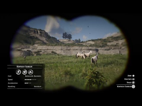 Buttermilk Herd near Horseshoe Overlook : Red Dead Redemption 2