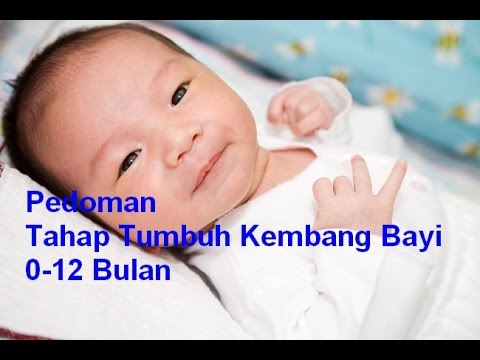 Apakah aerobik untuk menurunkan berat badan ulasan Joging pakaian untuk menurunkan berat badan