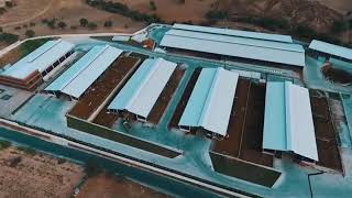 Agroplanet Livestock - Usak Farm 2019