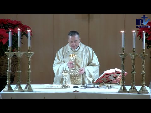 La Santa Misa de Hoy | Natividad del Señor | 25-12-2025 | Pbro. Javier Martín, FM