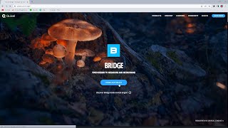 How to download QUIXEL BRIDGE and use its ASSETS for FREE | Quixel | Epic Games | Learn Adobe