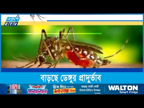 বর্ষার আগেই উদ্বেগজনক হারে বাড়ছে ডেঙ্গুর প্রাদুর্ভাব