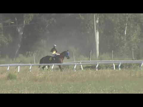 201217 c06 1° TECNIS  SINT - FLORIDA