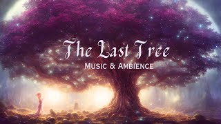 Magical Fantasy Music & Ambience for Relaxatio