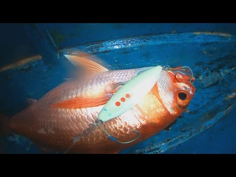 fishing in Philippines, Ruby snapper, Jigging