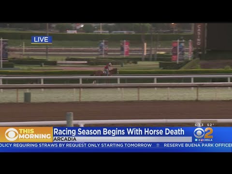 Horse Deaths Continue At Santa Anita Race Track