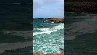 Cruise Excursion Shorts - Shoreline of Aruba on the Aruba UTV Tour Adventure Cruise Excursion