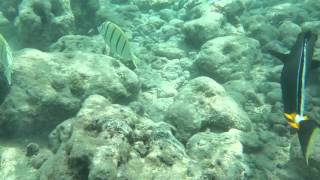 Samsung s7 edge  Water Test in salt water at Hanauma bay in Hawaii