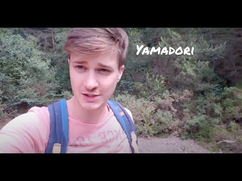Yamadori in an abandoned quarry