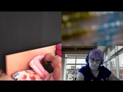 HIPNOZA REGRESIVA.RO-982.Daniel-Emotii Blocate si ,,Aportul''Pleiadienilor. E.LASCU  si .C.MORARU