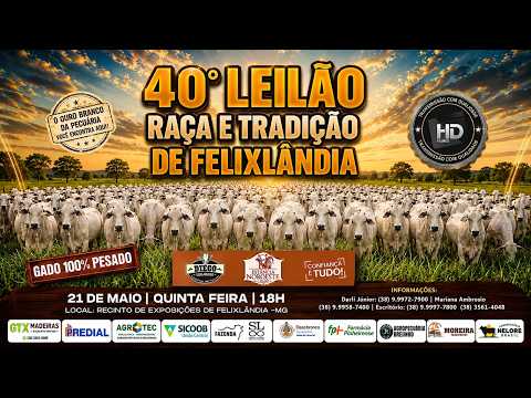 40º LEILÃO RAÇA E TRADIÇÃO DE FELIXLÂNDIA