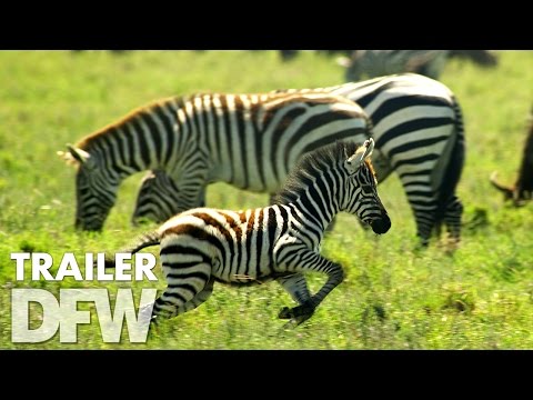 image Enchanted Kingdom