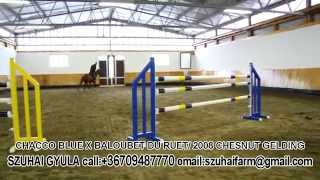 Video von Blue Balou