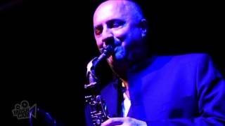 Barry Adamson - Civilisation (Live in Sydney) | Moshcam