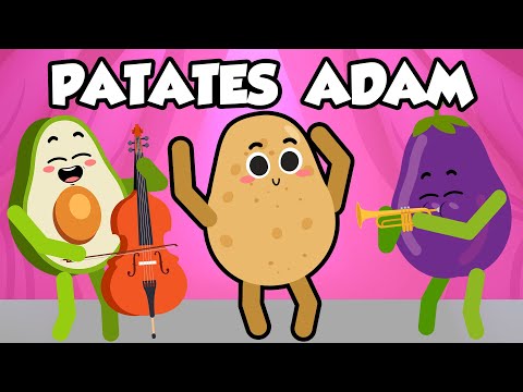 , title : 'Patates Adam Orkestra - DANS ŞARKISI'