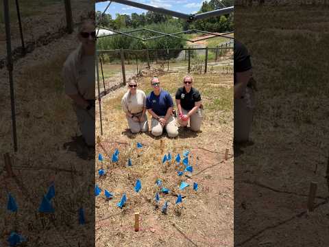 The GBI Celebrates National Intern Day 2024