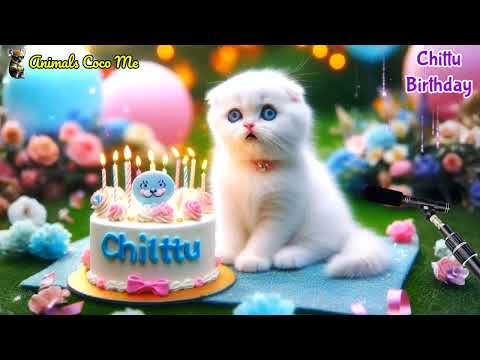 CHITTU HAPPY BIRTHDAY SONG WITH NAMES | Adorable Cute Cat 😺