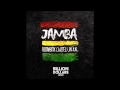 Jamba (Billion Dollars Remix) [NEST HQ PREMIERE ...