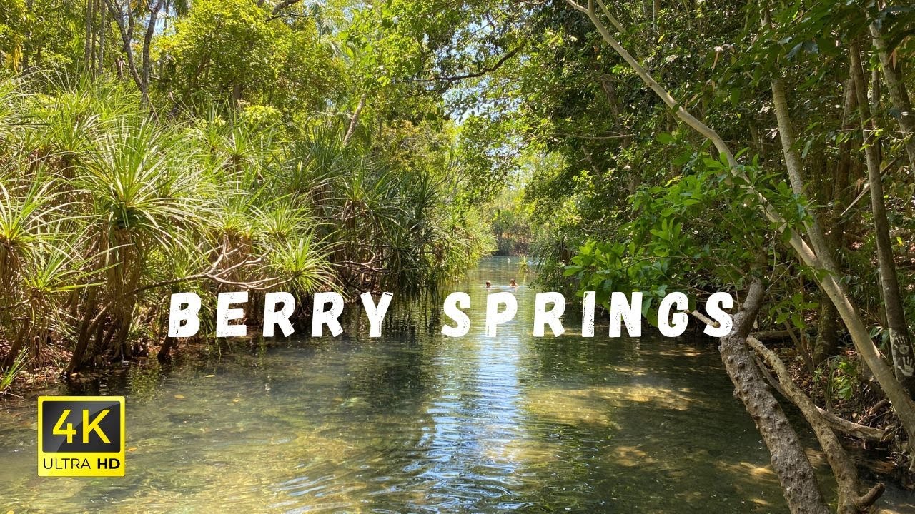 Explore the hidden beauty and calm pools of Berry Springs Nature Park.
