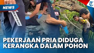TERKUAK PEKERJAAN DIDUGA Pria Kerangkanya dalam Batang Pohon Aren, Hilang 2 Tahun