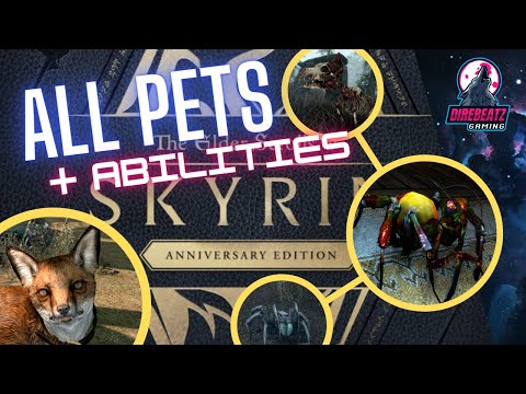 Skyrim AE | How To Get All 10 Teleport Pets & Pet Abilities Explained