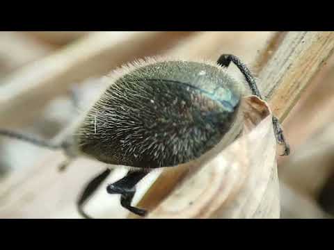 A vida tranquila no bairro de Barbalha no Ceará