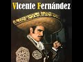 Vicente Fernández - Lo que no fue no será