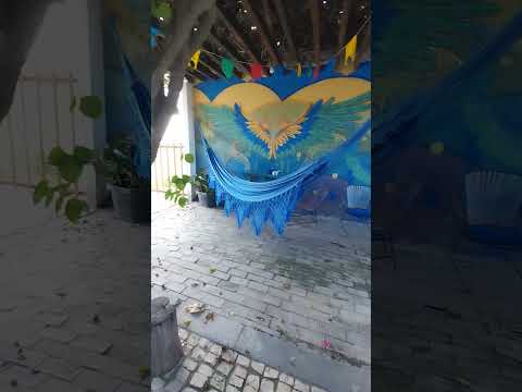 Bodega do pastel Tangará RN