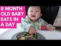 WHAT MY 8 MONTH OLD BABY EATS IN A DAY  | BABY LED WEANING | INFANTINO SQUEEZE STATION