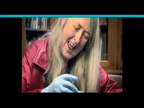 Marriage and relationships Mary Beard