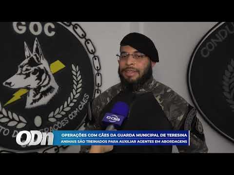 O Dia TV