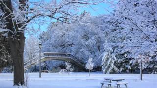 &quot;It Snowed&quot; by Meaghan Smith