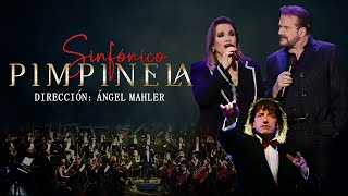 Pimpinela | Una estúpida más (en vivo)