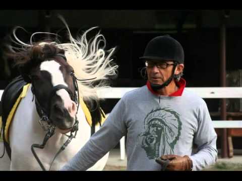 I cavalieri del Lago 2012