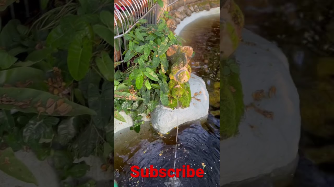 YouTube Short thumbnail