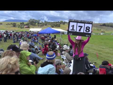 Carbondale: 2014 National Finals Sheepdog Trials