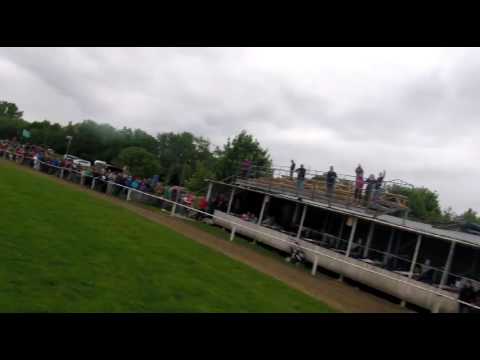 Dostih neregistrovaných koní Brno -Dvorka 20.5.2017