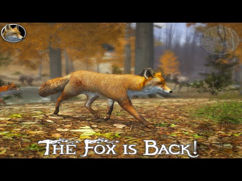 Ultimate Fox Simulator 2 VS Bear, Rabbit, Pig, Horse, Chicken - YouTube