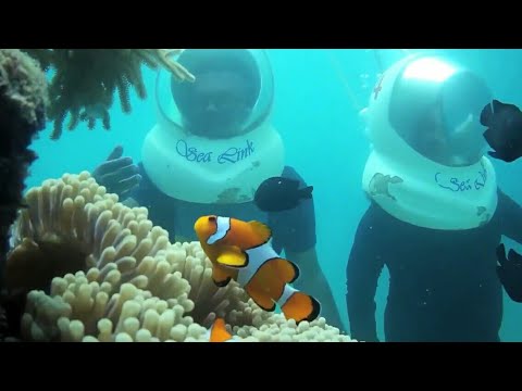 Sea Walk at Elephant Beach Havlock Andaman with Santanu Ganguly