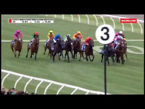 Darley Classic 2016 - Malaguerra