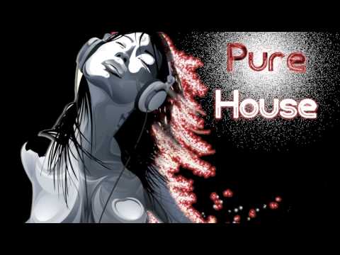 Pure House - Axwell ft Steve Edwards - watch the sunrise
